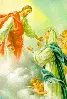 祈る花:Inoruhana