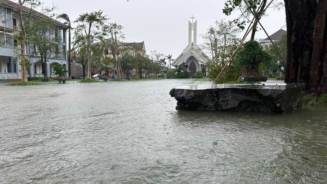Typhoon